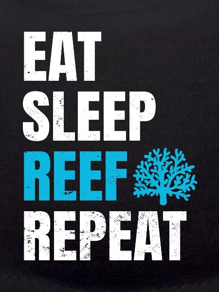 Reef Aquarium