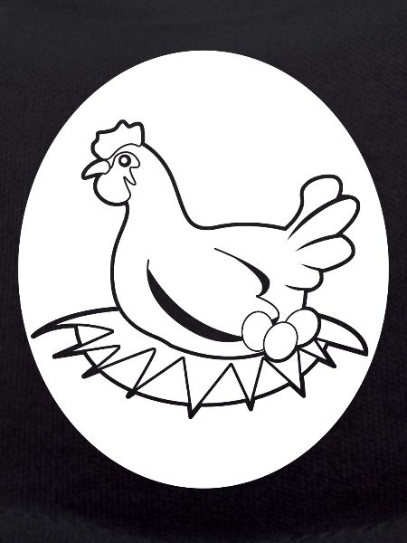 Oeufs Poule Oeuf