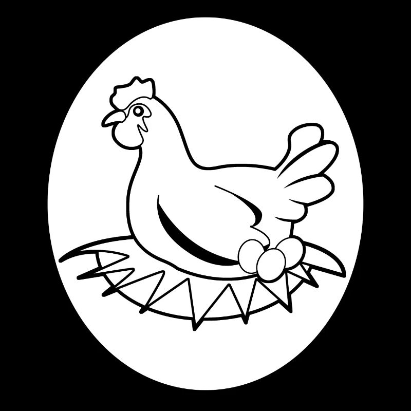 Oeufs Poule Oeuf