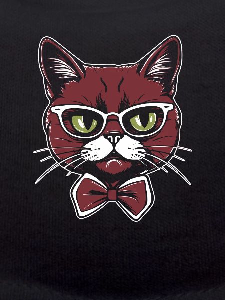 Chat mignon