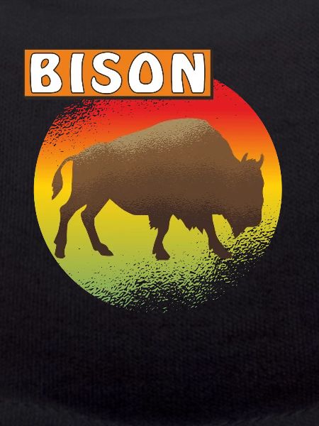 BISON