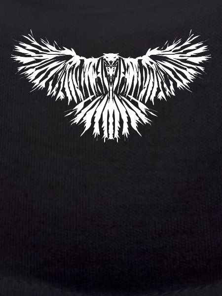Raven Crow Ravens Crows