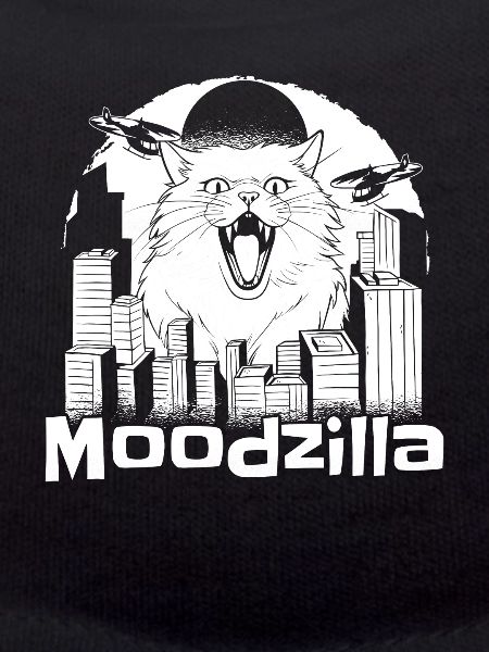 Cat Funny