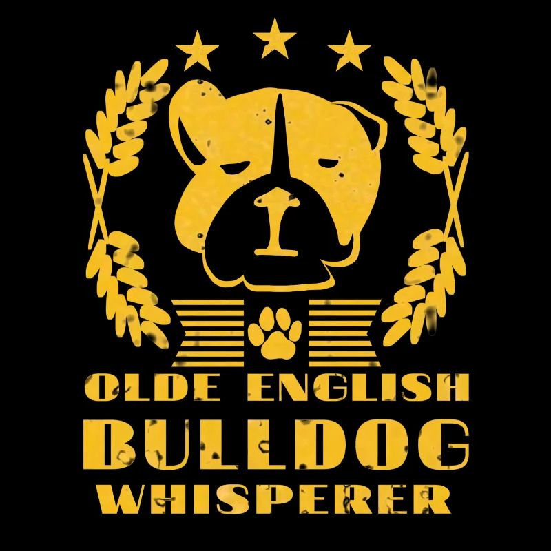 Un vieux bouledogue anglais