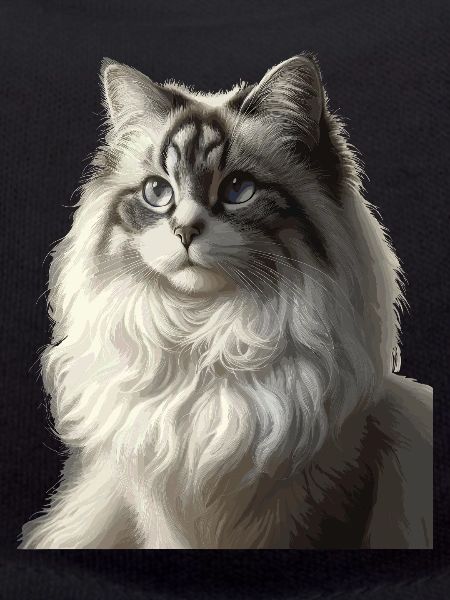 Fluffy Cat Face Portrait