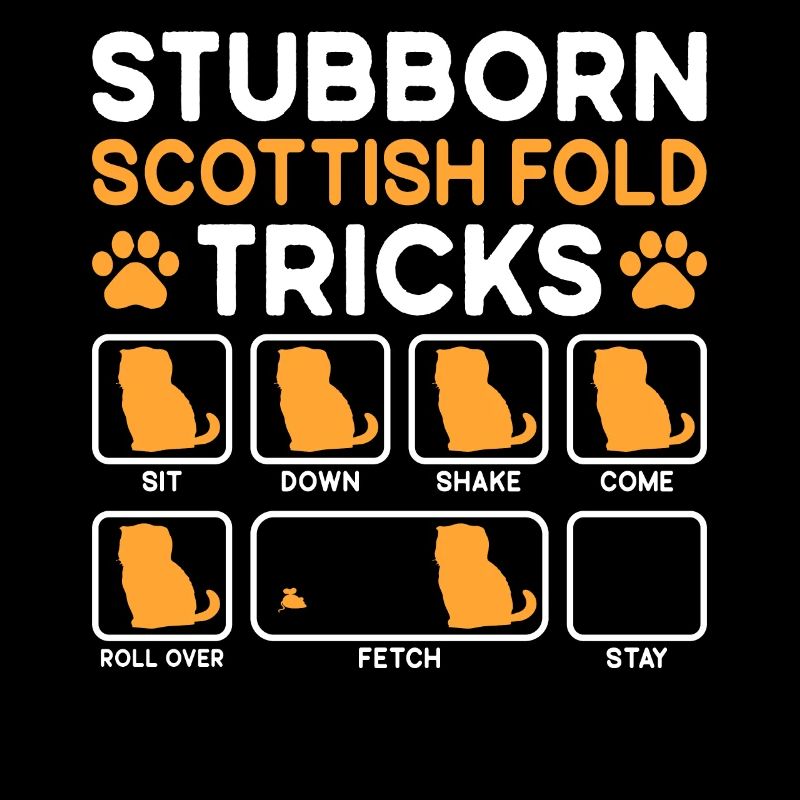 Stubborn Tricks Scottish Fold Cat