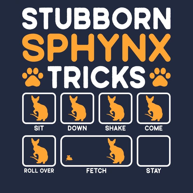Tricks têtus Chat Sphynx