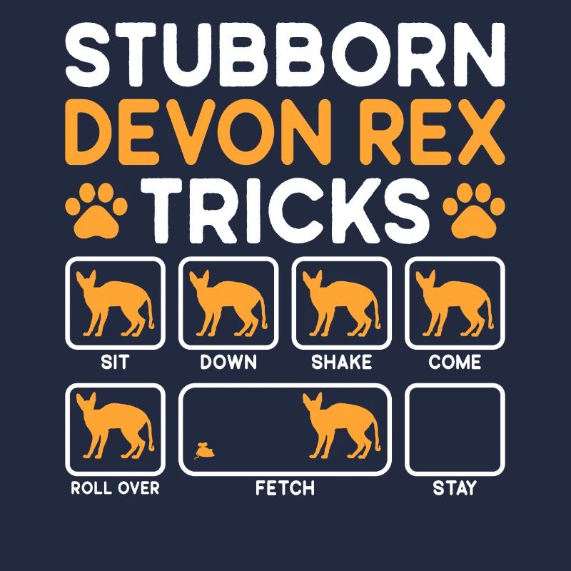 Tricks têtus Devon Rex Cat