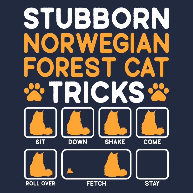 Stubborn Tricks Norwegian Forest Cat Cat