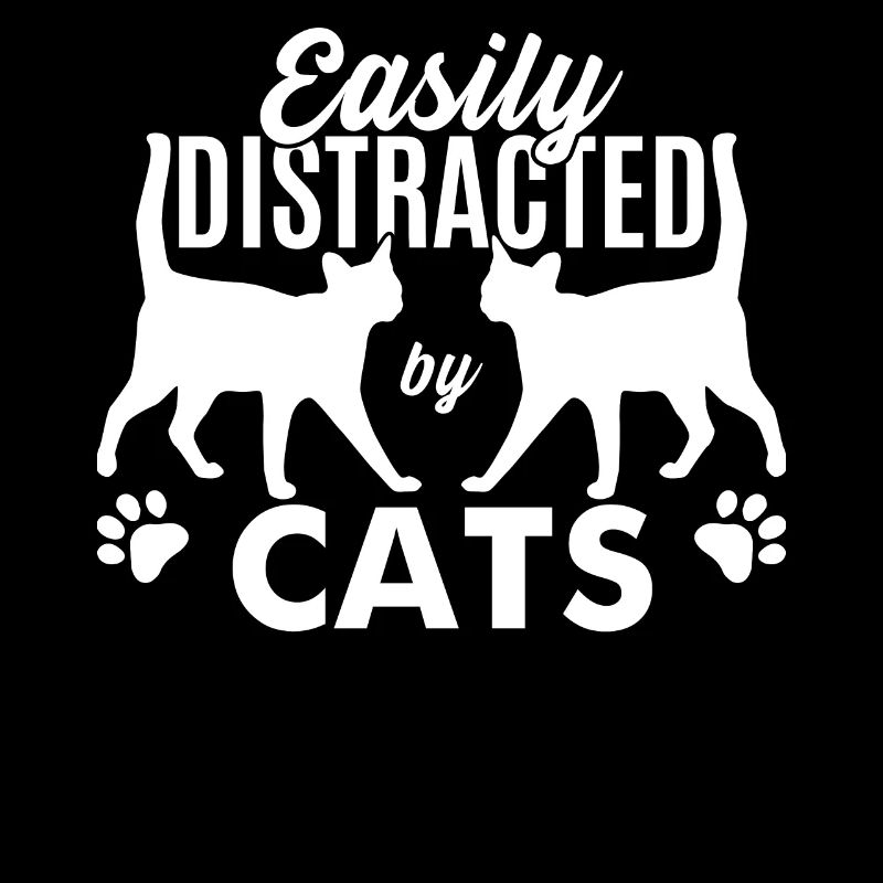 Facilement distrait par les chats