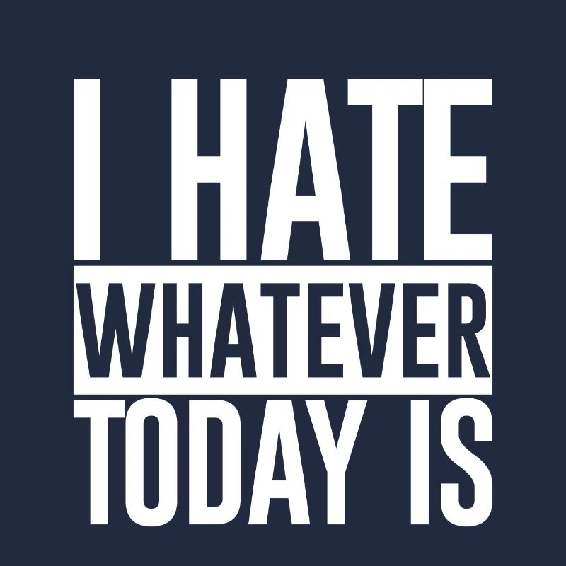 I Hate Whatever Today Is 2