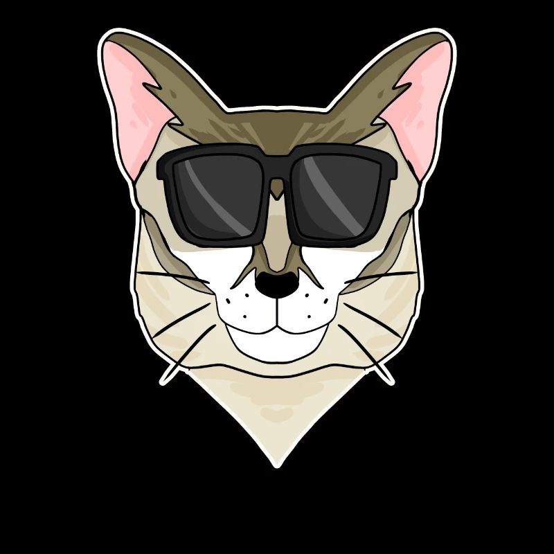 Singapura Katze mit Brille - coole Katze