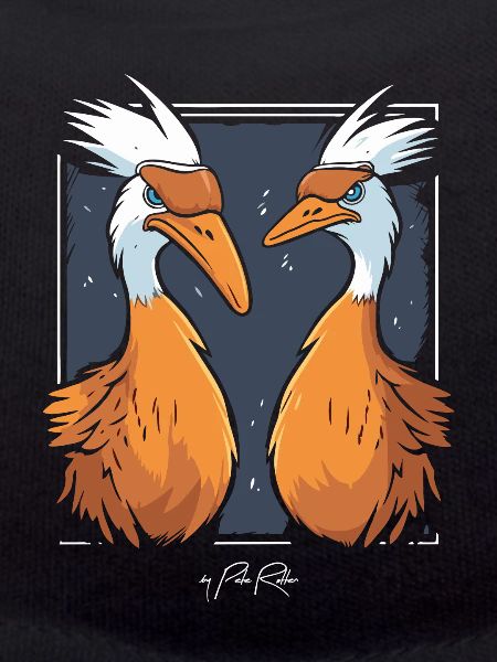 Deux oiseaux étranges