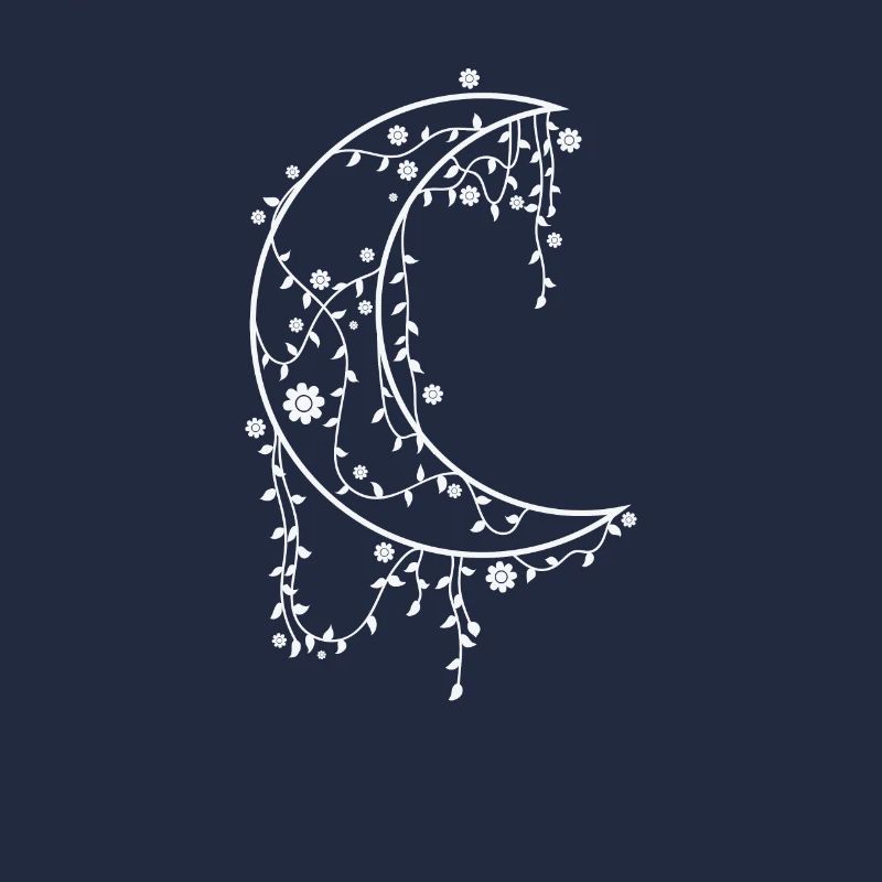 Decorated Moon Night Sky