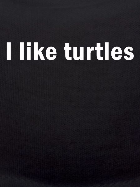 I Like Turtles Turtle