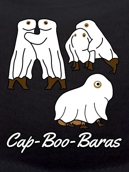 Capybaras Ghosts Capybara