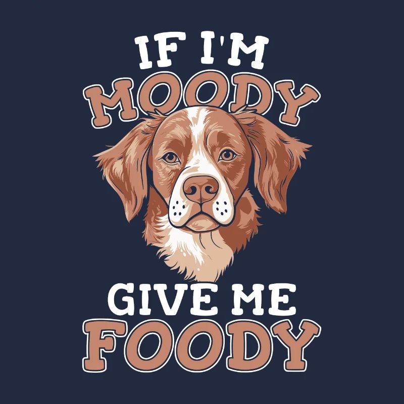 Brittany Spaniel Witzig