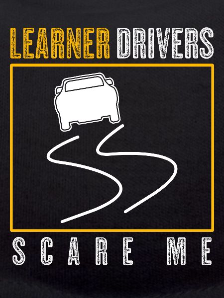 Driving Instructor Learner Driver
