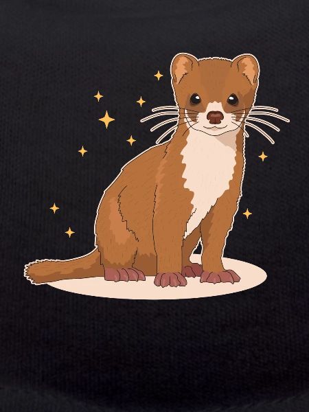 Wiesel Kleinwiesel Mauswiesel Geschenk