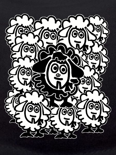 Lots of sheep