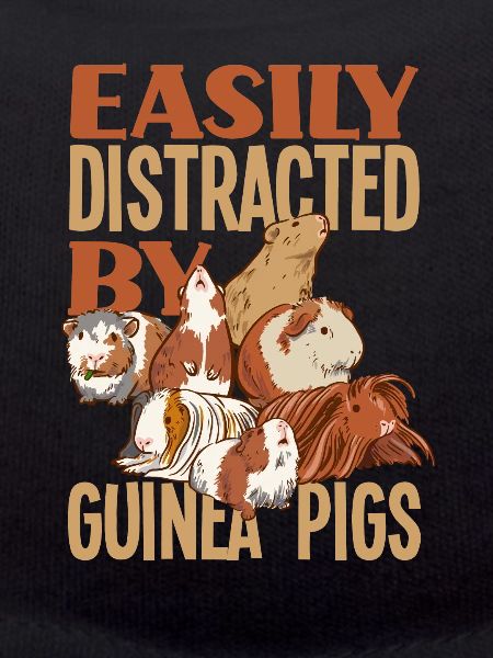 Cochon d’Inde Animal de compagnie