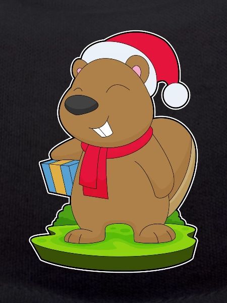 Beaver Christmas Package