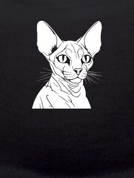 Sphynx Cat