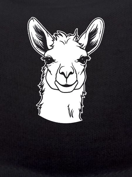 Lama Llama