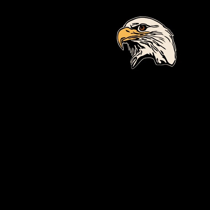 Bald Eagle - Bird Eagle Graphic Design
