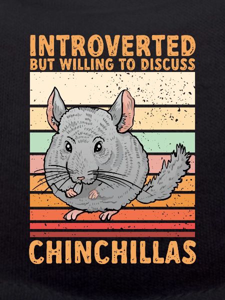 Chinchilla