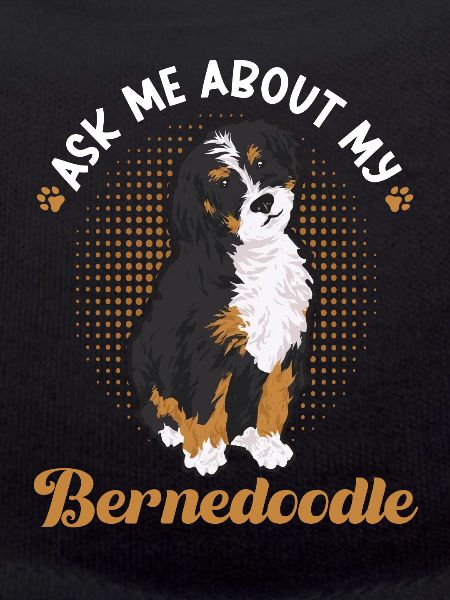 Bernedoodle Dog