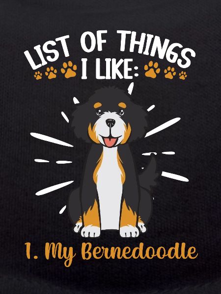 Bernedoodle Dog