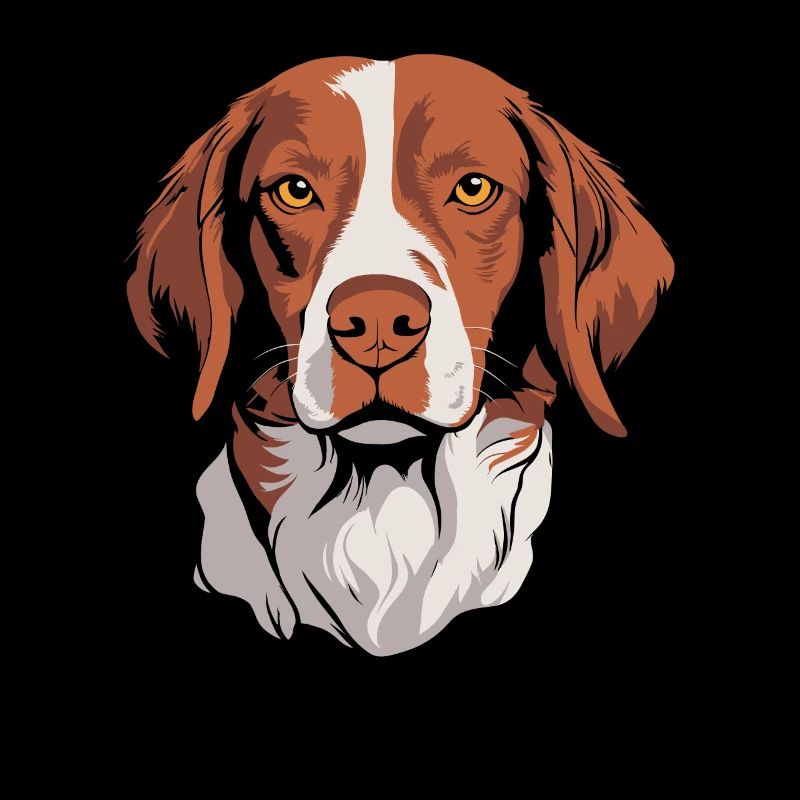Brittany Spaniel