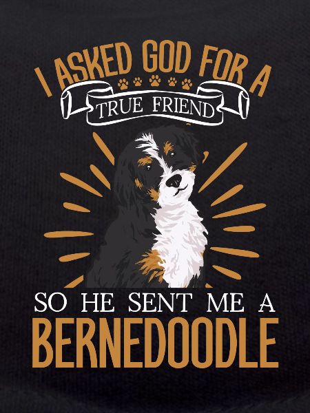 Bernedoodle Dog