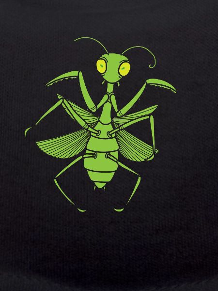Insect Praying Mantis