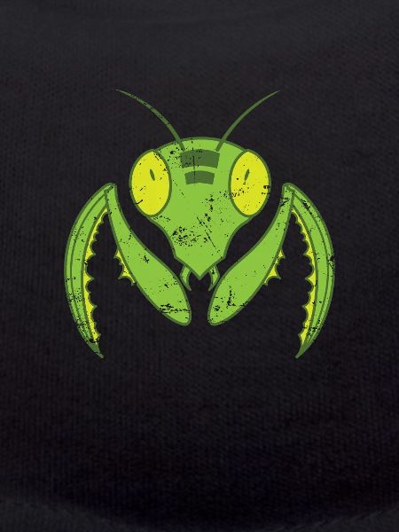 Praying mantis flying nature