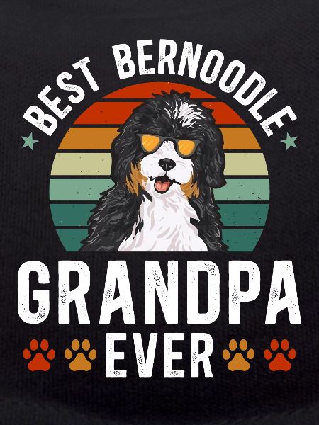 Chien Bernedoodle