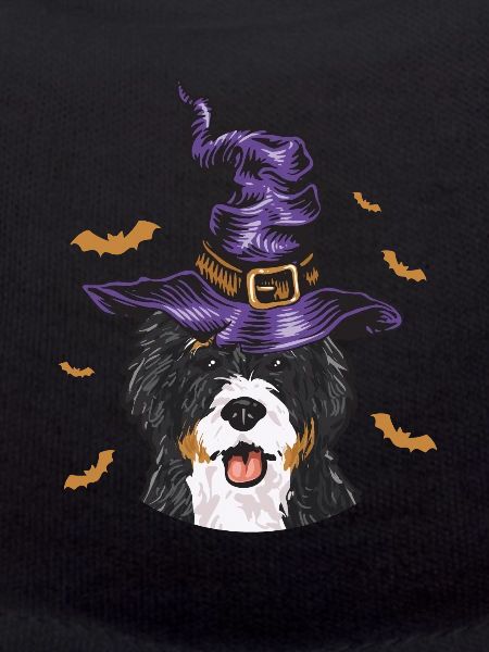 Bernedoodle Dog