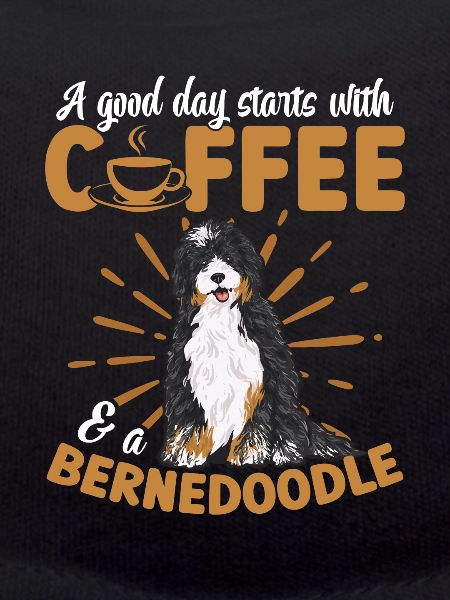 Bernedoodle Hund