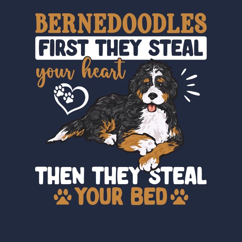 Bernedoodle Hund