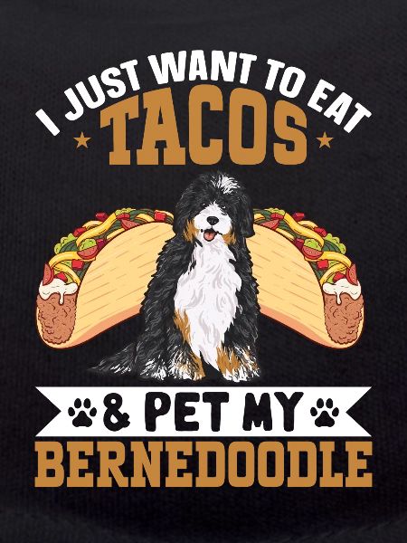 Bernedoodle Dog