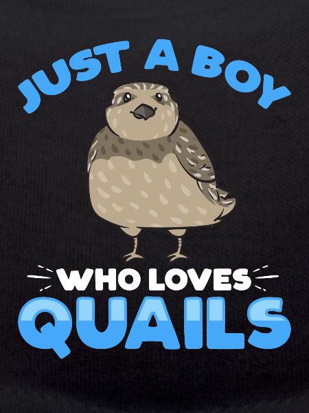 Quail Bird