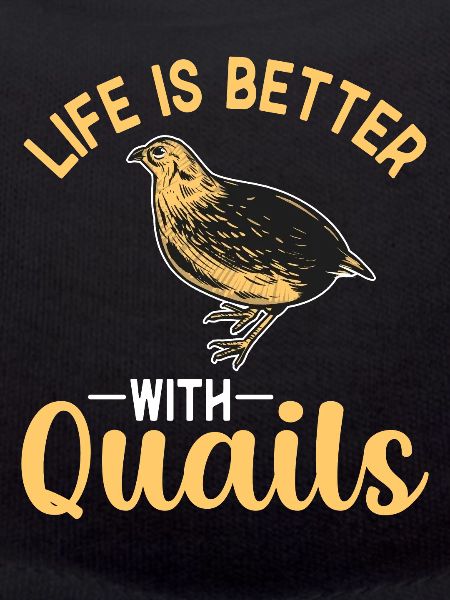 Quail Bird