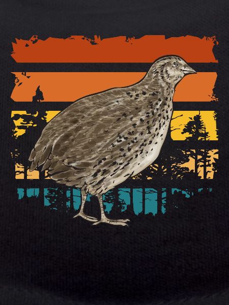 Quail Bird