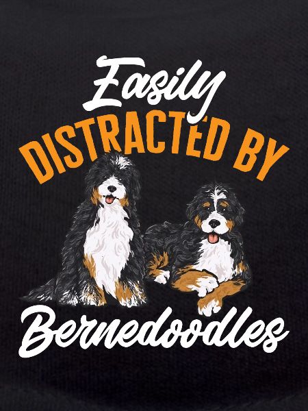 Chien Bernedoodle