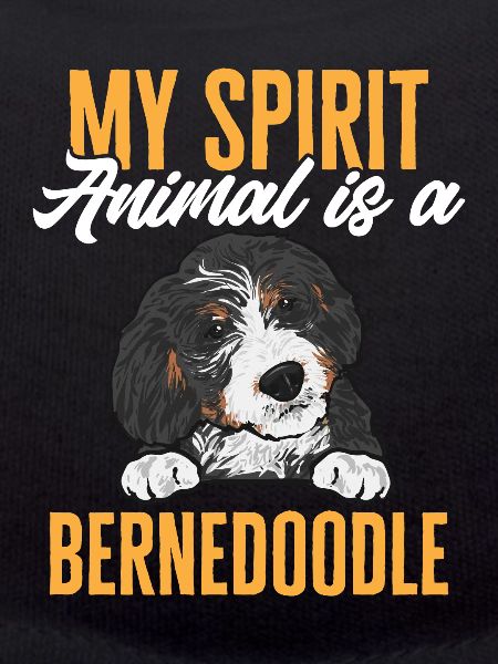 Bernedoodle Dog