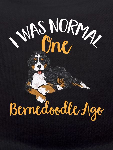 Bernedoodle Hund
