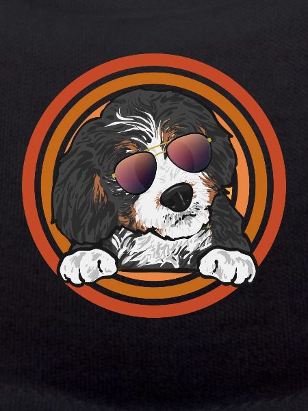 Bernedoodle Dog