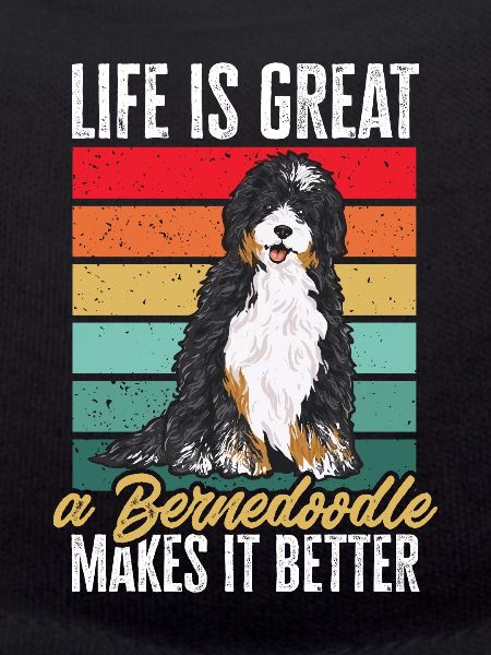 Bernedoodle Dog