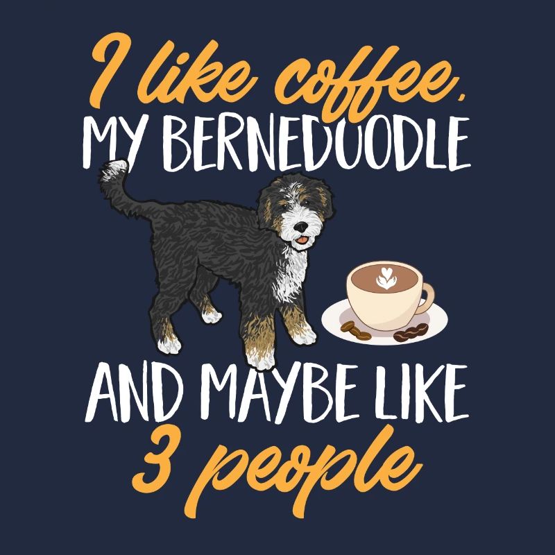 Bernedoodle Hund